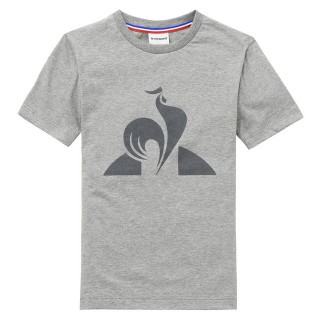 Original T-shirt Essentiels Enfant Garçon Gris